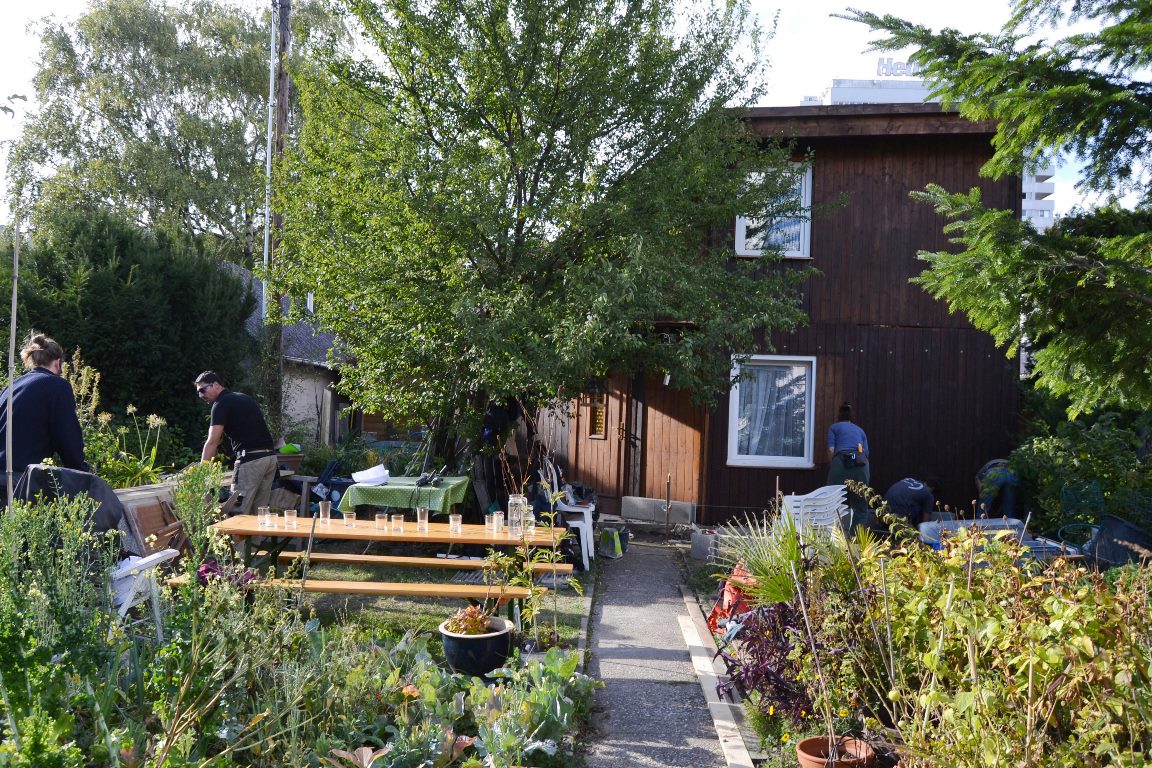 Workshop Wrapping STEP4