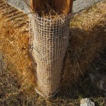 straw bale infill CUT construction asbn Crete