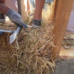 straw bale infill CUT construction asbn Crete