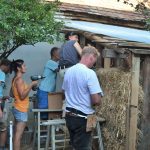 Off grid Tiny House Straw Bale